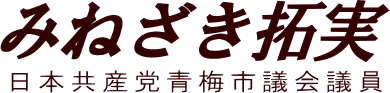 一般質問(o^^o)-青梅市議会議員みねざき拓実
